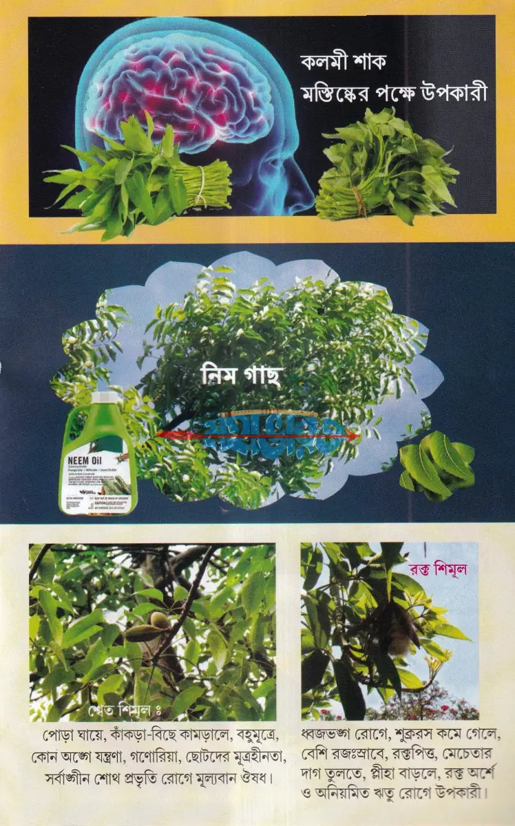 সহজ পারিবারিক আয়ুর্বেদিক চিকিৎসা Hindu Religious Books