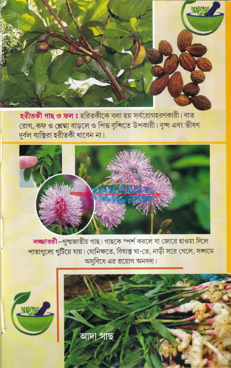 সহজ পারিবারিক আয়ুর্বেদিক চিকিৎসা Hindu Religious Books