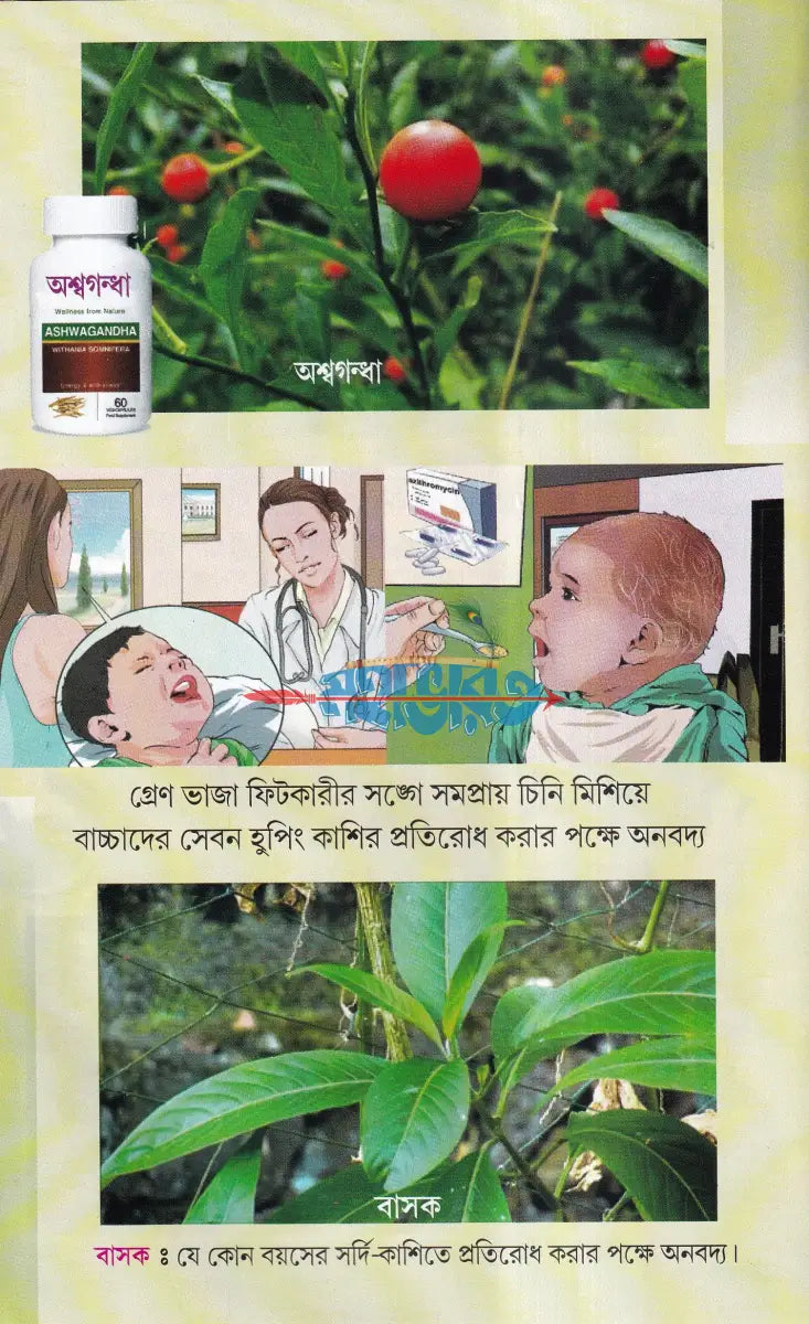 সহজ পারিবারিক আয়ুর্বেদিক চিকিৎসা Hindu Religious Books