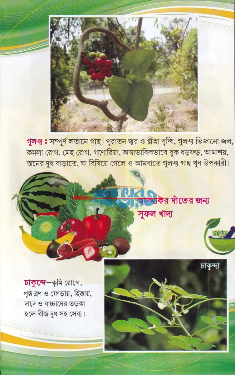 সহজ পারিবারিক আয়ুর্বেদিক চিকিৎসা Hindu Religious Books