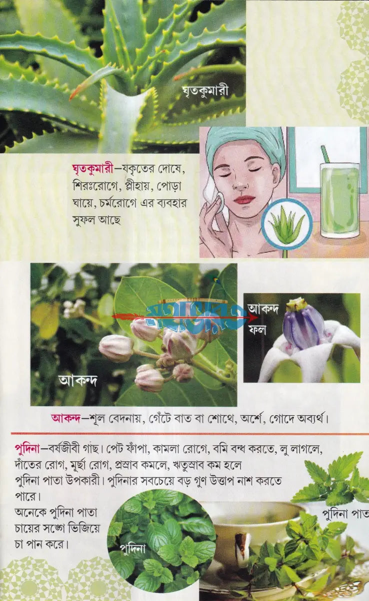 সহজ পারিবারিক আয়ুর্বেদিক চিকিৎসা Hindu Religious Books