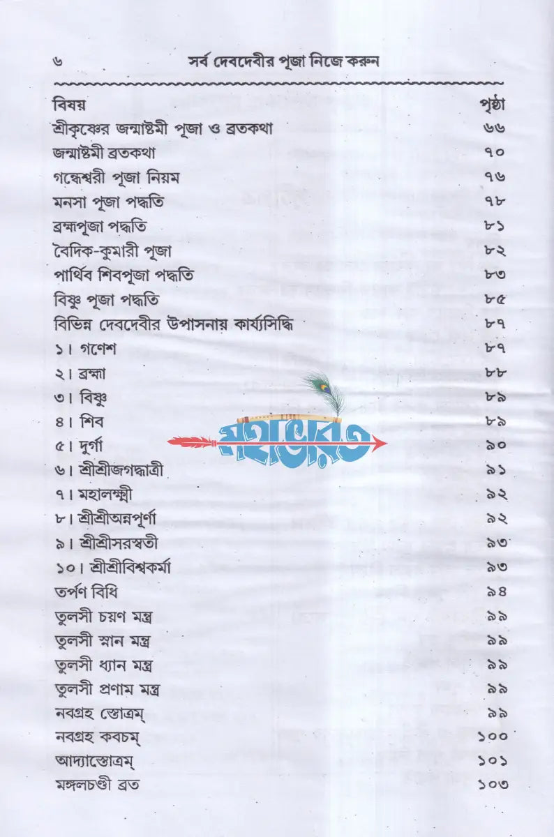 সর্ব দেবদেবীর পূজা নিজে করুন Hindu Religious Books