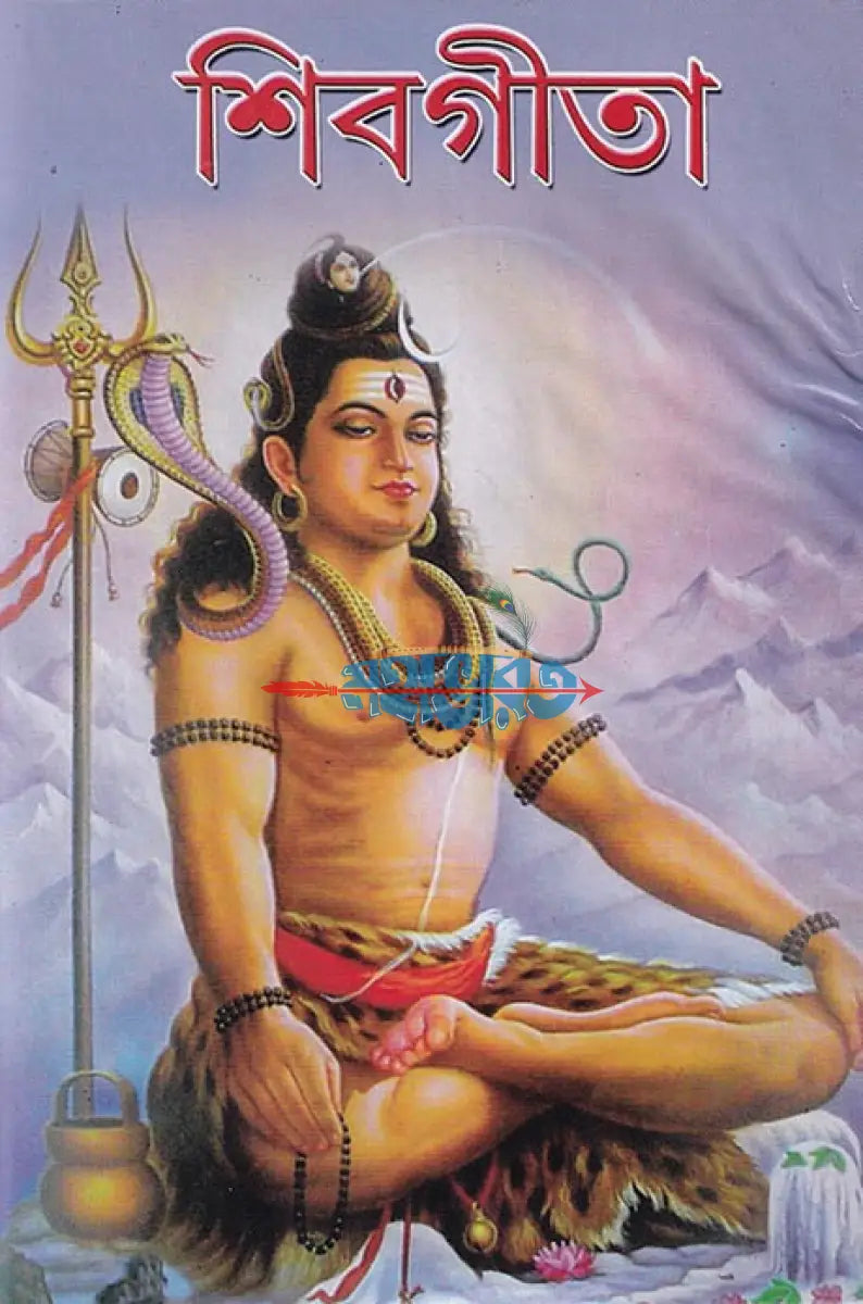 শিবগীতা বাংলাদেশী ছাপা Hindu Religious Books