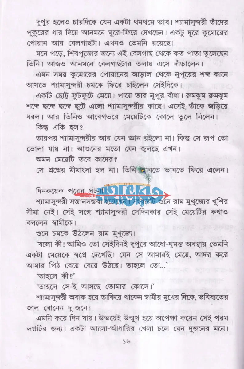 শ্রী শ্রী সারদাদেবীর জীবন ও কথামৃত Hindu Religious Books