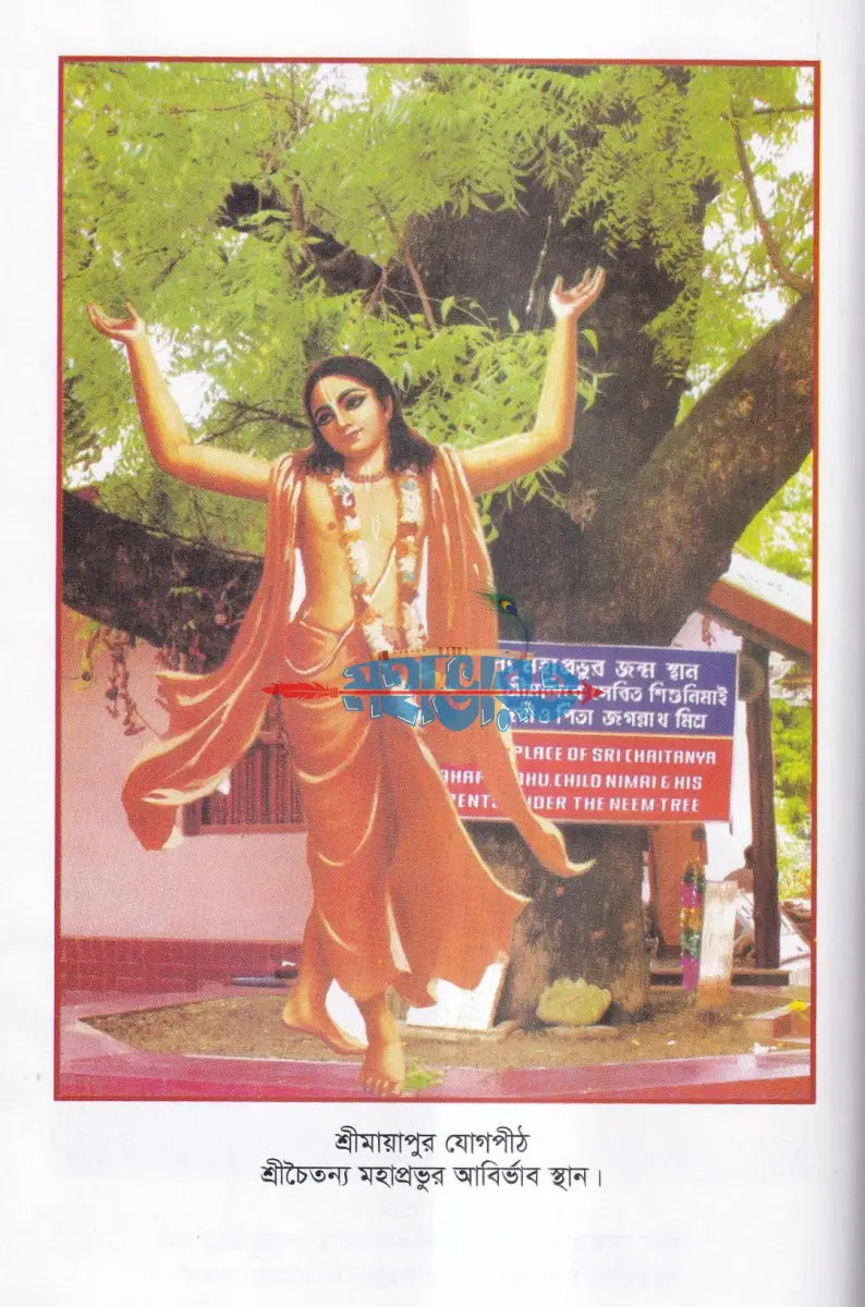 শ্রীচৈতন্য ভাগবত Hindu Religious Books