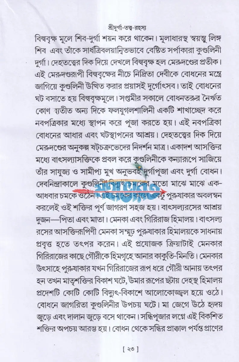 শ্রীদুর্গা তত্ত্ব রহস্য Hindu Religious Books