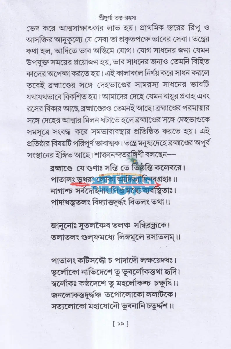 শ্রীদুর্গা তত্ত্ব রহস্য Hindu Religious Books