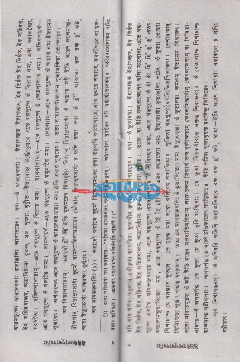 শ্রীশ্রীশীতলাপূজা পদ্ধতি Hindu Religious Books