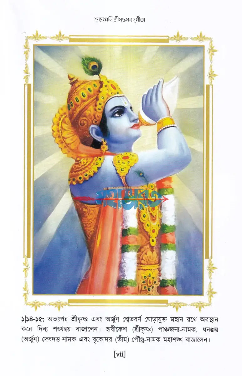 শুদ্ধধ্বনি শ্রীমদ্‌ভগবদ্‌গীতা Hindu Religious Books