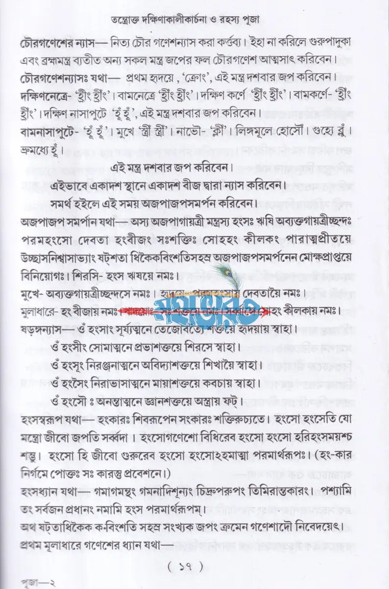 তন্ত্রোক্ত দক্ষিণাকালীকার্চনা ও রহস্য পূজা Hindu Religious Books