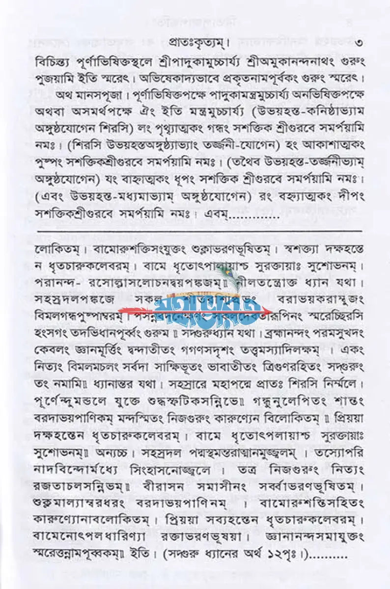 তন্ত্রোক্ত নিত্যপূজা পদ্ধতি ও রহস্য পূজা পদ্ধতি Hindu Religious Books