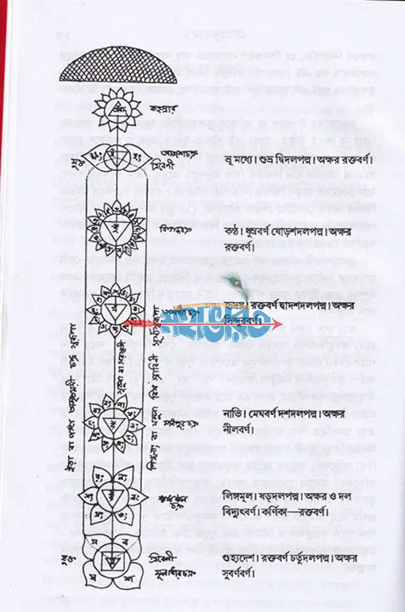 তন্ত্রোক্ত নিত্যপূজা পদ্ধতি ও রহস্য পূজা পদ্ধতি Hindu Religious Books